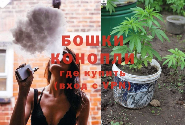 крисы Богородск