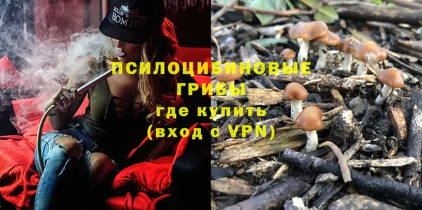 крисы Богородск
