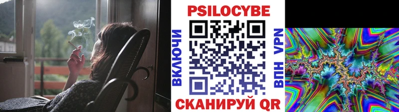 Псилоцибиновые грибы мицелий Елизово
